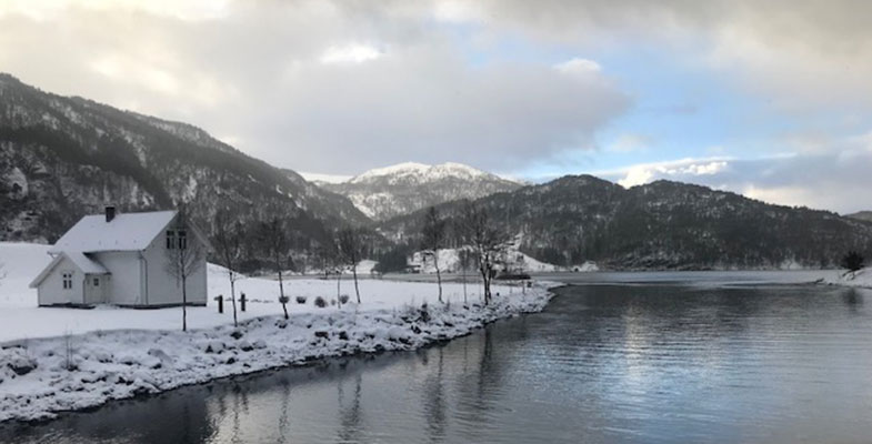 Bergen fiordi